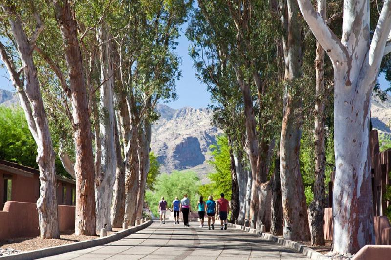 Canyon Ranch Tucson Mount Lemmont ภายนอก รูปภาพ