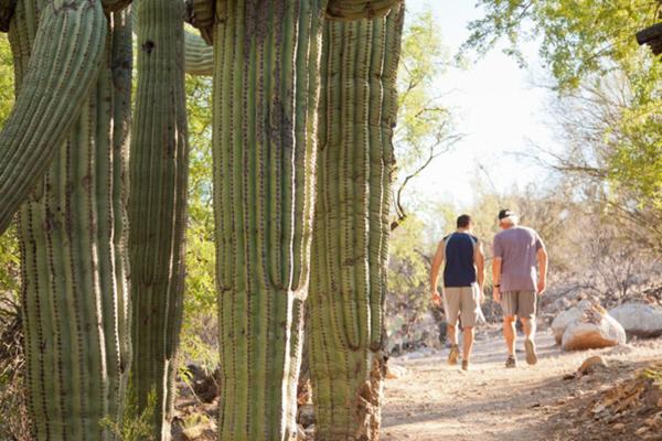 Canyon Ranch Tucson Mount Lemmont ภายนอก รูปภาพ