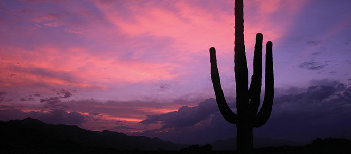 Canyon Ranch Tucson Mount Lemmont ภายนอก รูปภาพ