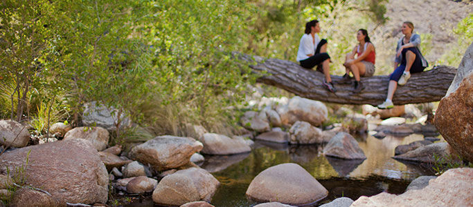 Canyon Ranch Tucson Mount Lemmont ภายนอก รูปภาพ